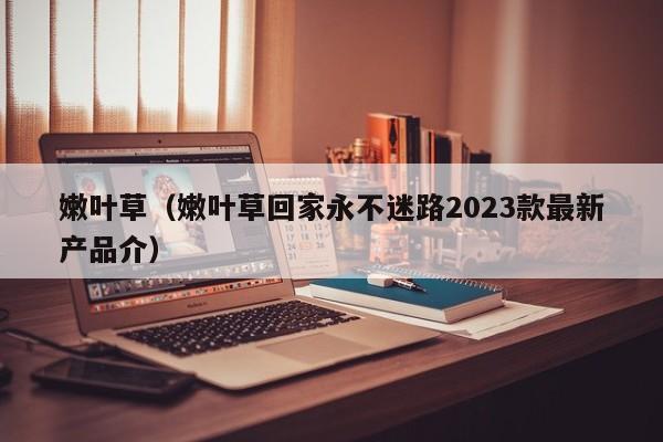 嫩叶草（嫩叶草回家永不迷路2023款最新产品介）